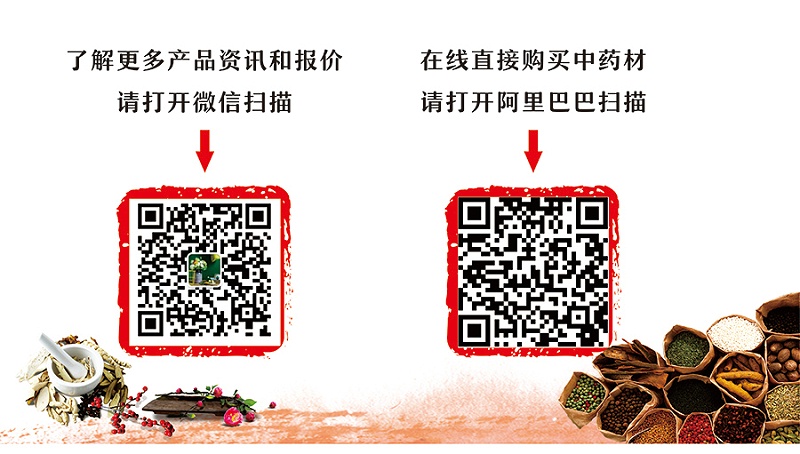 企業(yè)宣傳二維碼