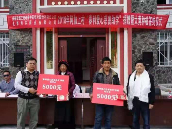 春盛中藥愛心慈善助學(xué)捐贈(zèng)暨大黃種植簽約儀式在康定舉行