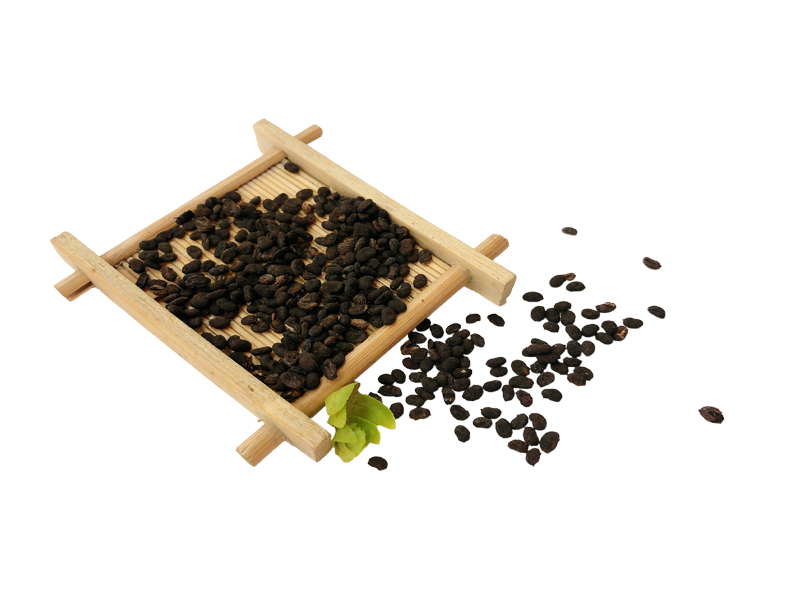 原藥材-補(bǔ)骨脂