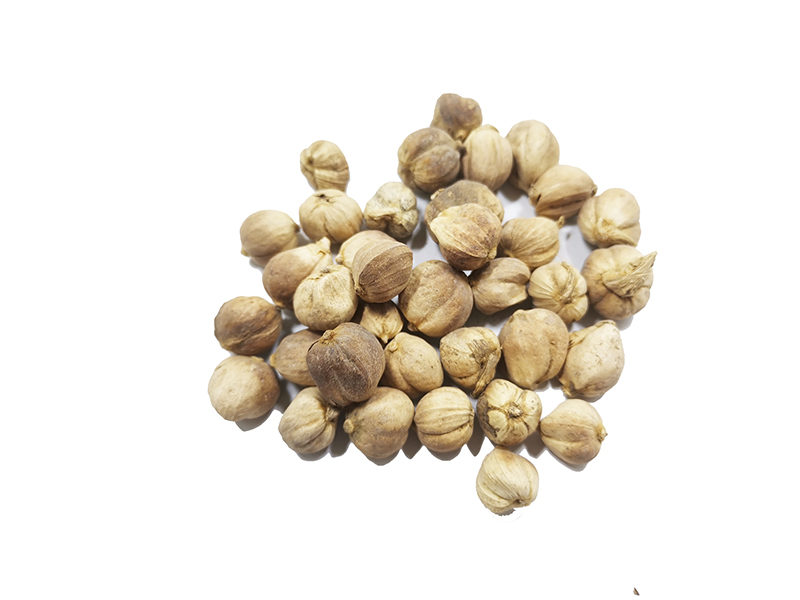 原藥材-白豆蔻